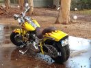 HARLEY DAVIDSON SOFTAL SPRINGER CVO 1800 Occasion - 18